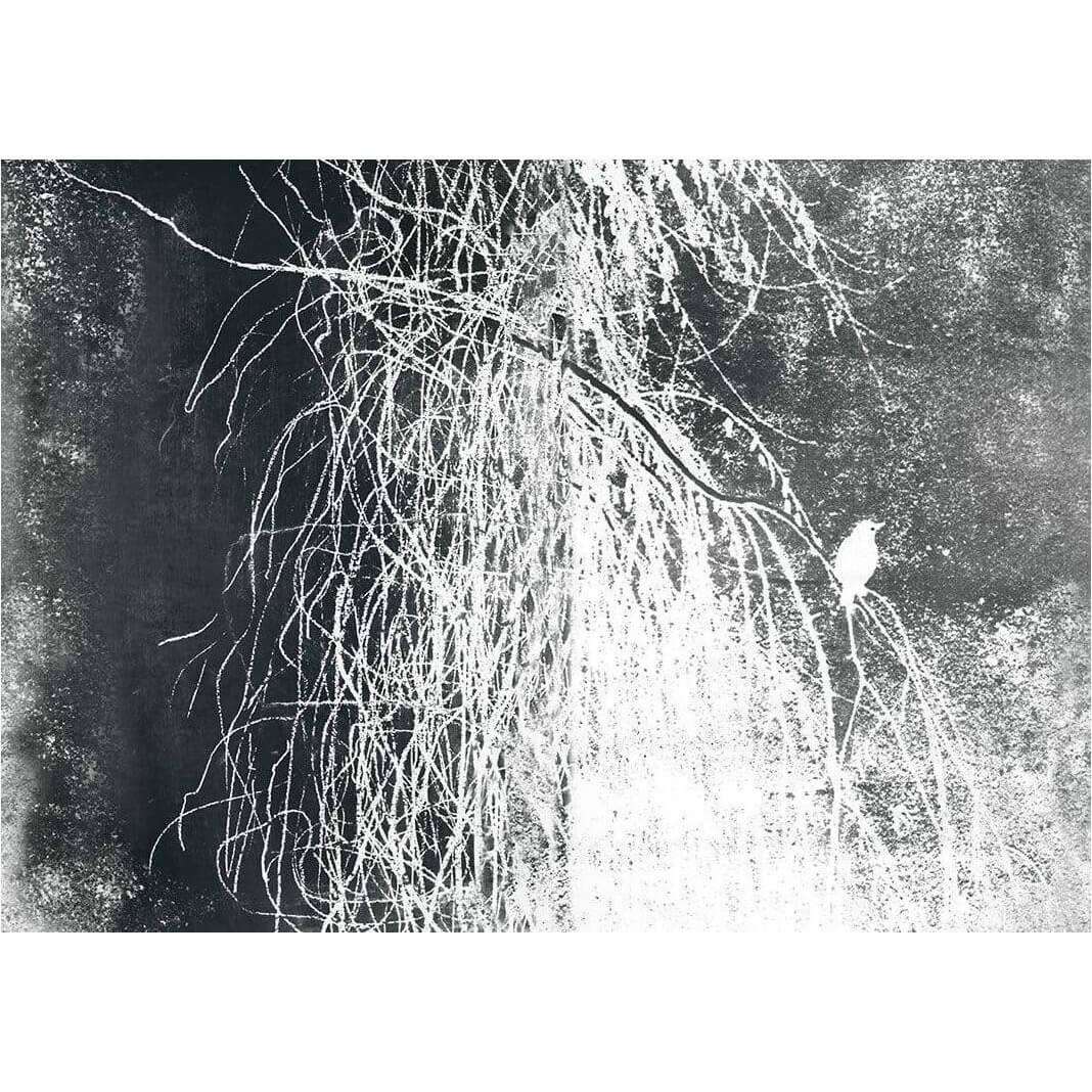 Alba Salix - Curated - Wallpaper - Wall & Decò