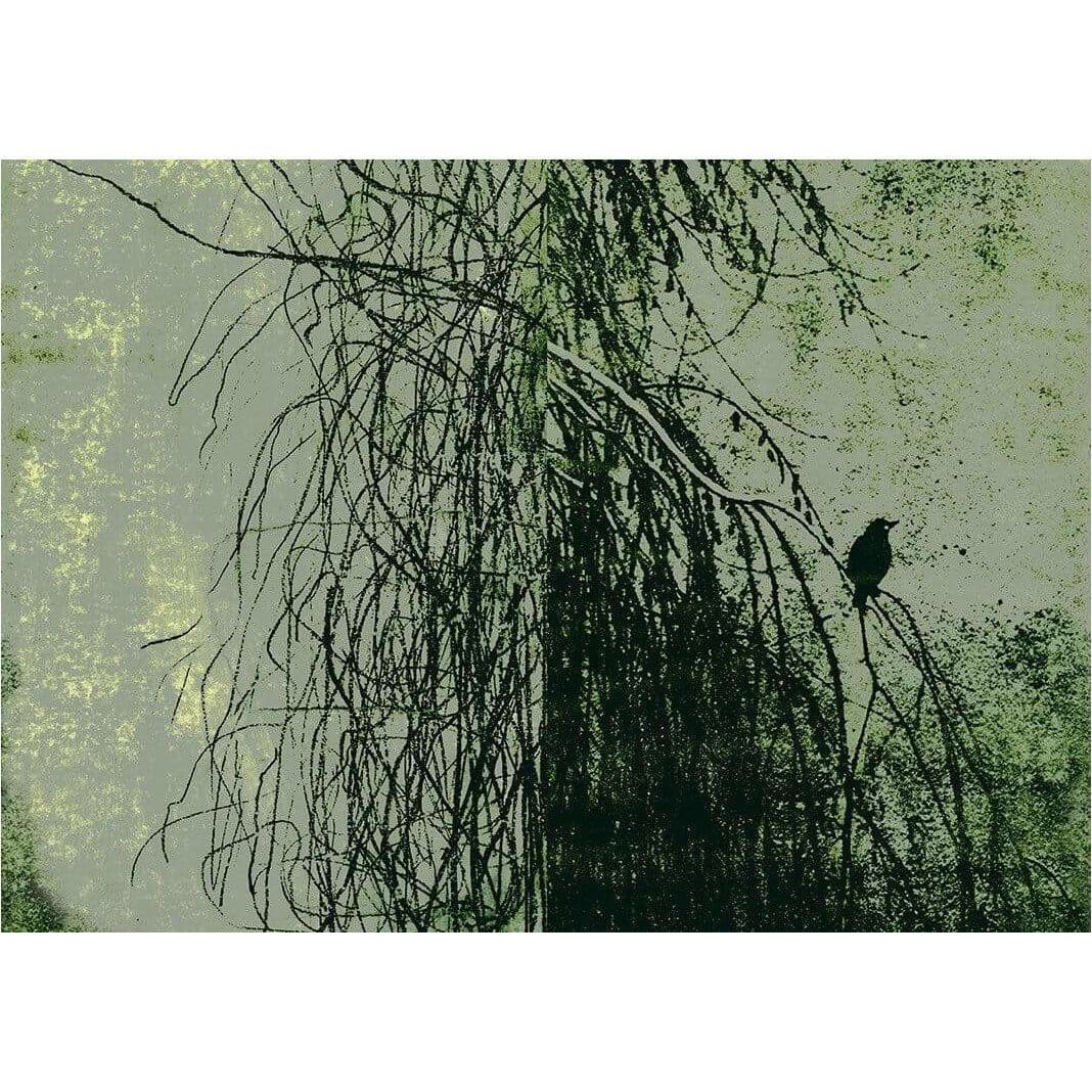Alba Salix - Curated - Wallpaper - Wall & Decò