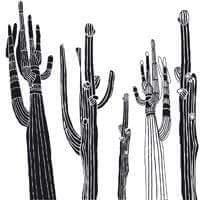 Desert Spirit - Curated - Wallpaper - Wall & Decò