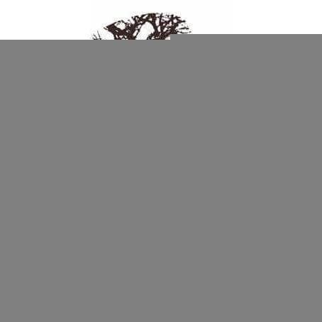 Elliptical Forest - Curated - Wallpaper - Wall & Decò