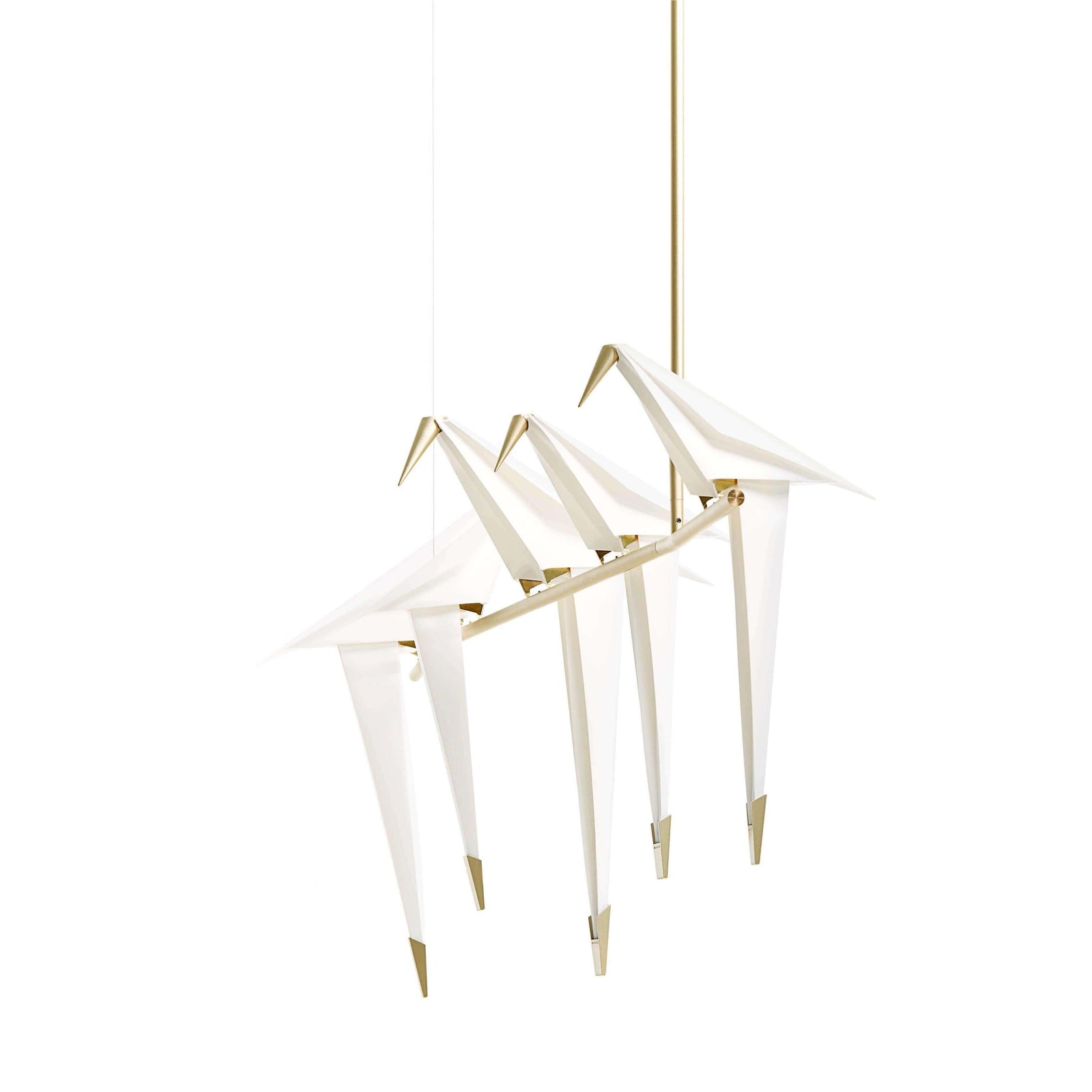 Perch Light Branch Suspension Light - Curated - Lighting - Moooi