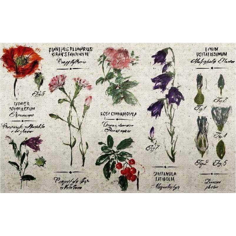 Pianthus - Curated - Wallpaper - Wall & Decò