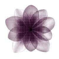 Pills - Curated - Wallpaper - Wall & Decò