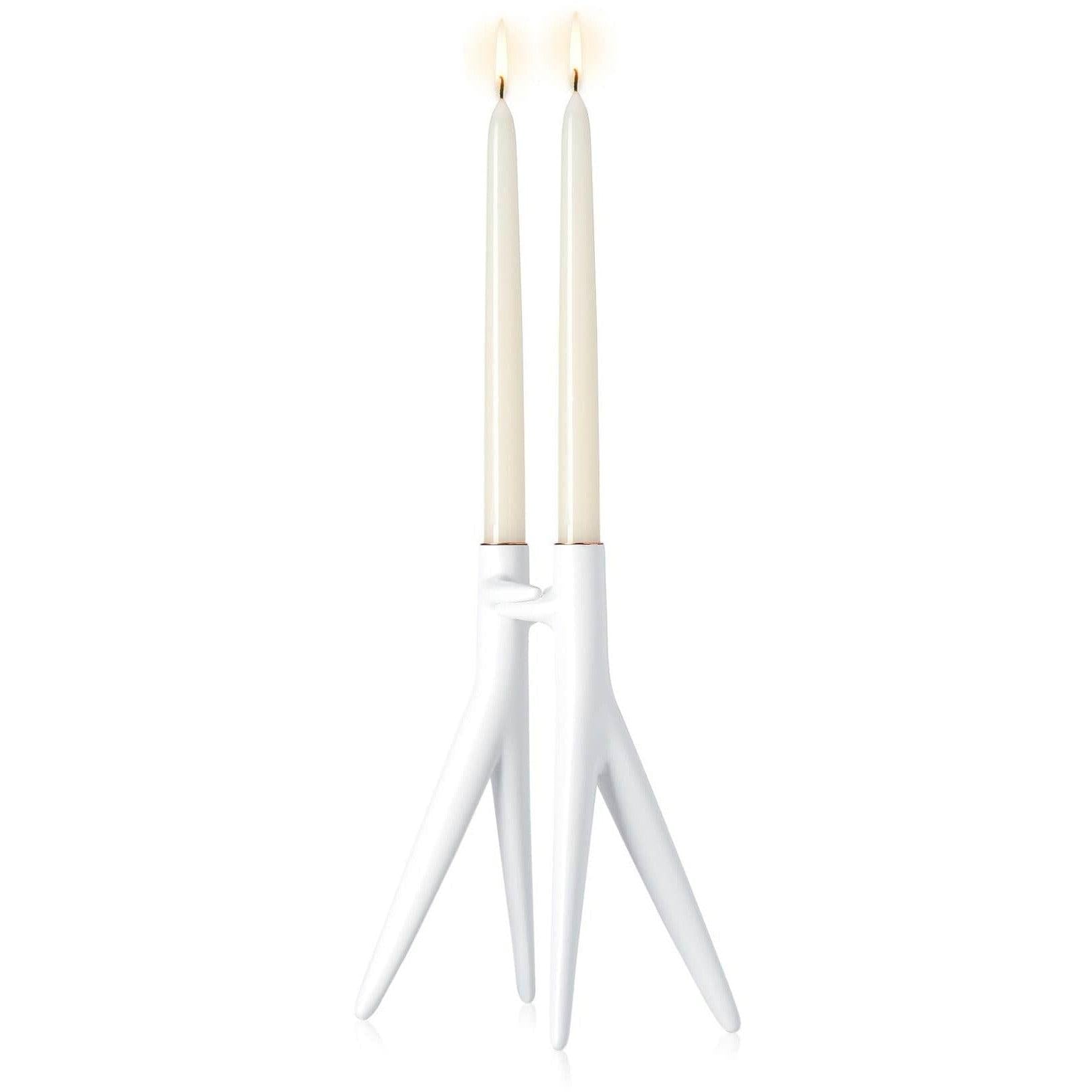 Abbracciaio Candle Holder - Curated - Accessory - Kartell