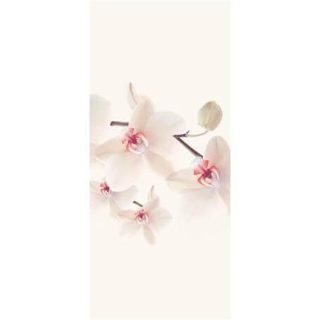 Aires - Curated - Wallpaper - Wall & Decò