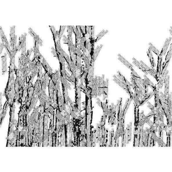 Black Forest - Curated - Wallpaper - Wall &amp; Decò