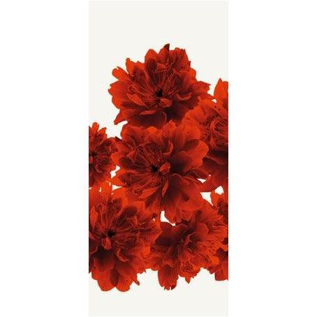 Bloom - Curated - Wallpaper - Wall &amp; Decò