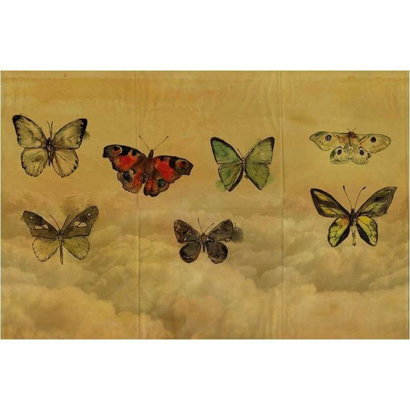 Butterflies - Curated - Wallpaper - Wall &amp; Decò