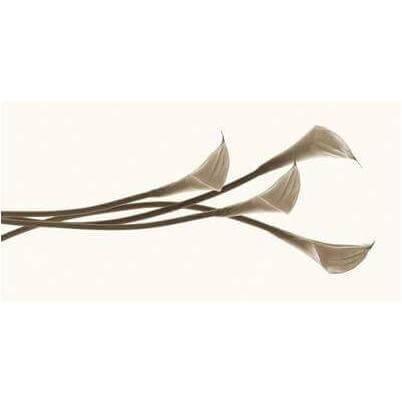 Calle - Curated - Wallpaper - Wall &amp; Decò