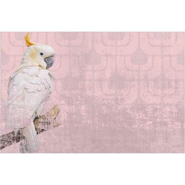 Cockatoo - Curated - Wallpaper - Wall & Decò