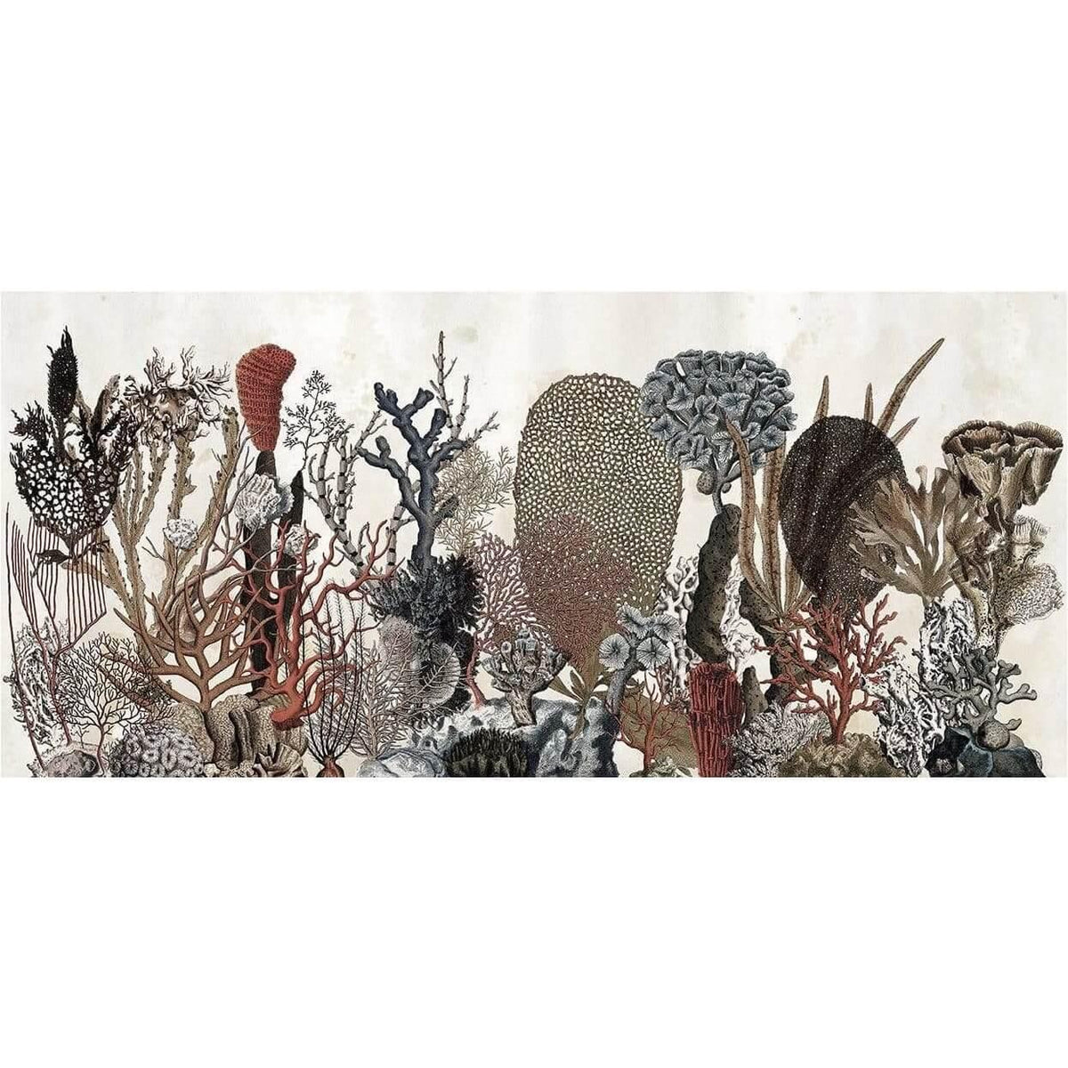 Coralfull - Curated - Wallpaper - Wall &amp; Decò