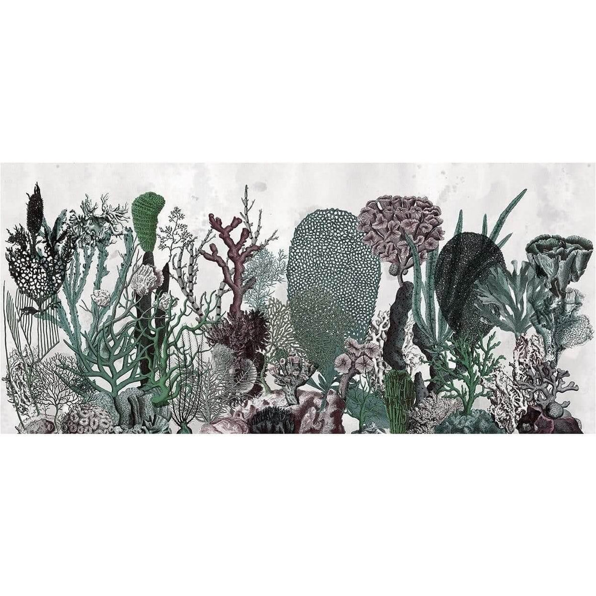 Coralfull - Curated - Wallpaper - Wall &amp; Decò