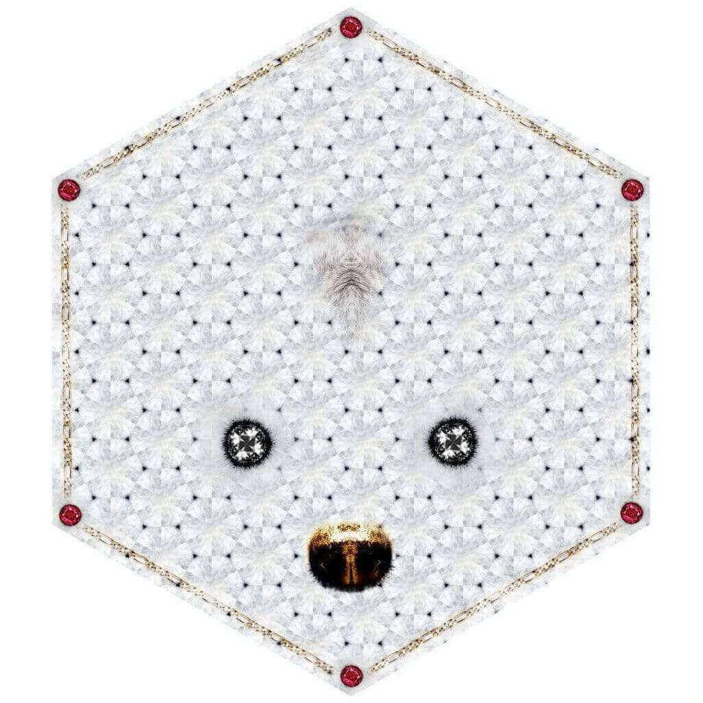 Crystal Teddy by Marcel Wanders - Curated - Carpet - Moooi Carpets