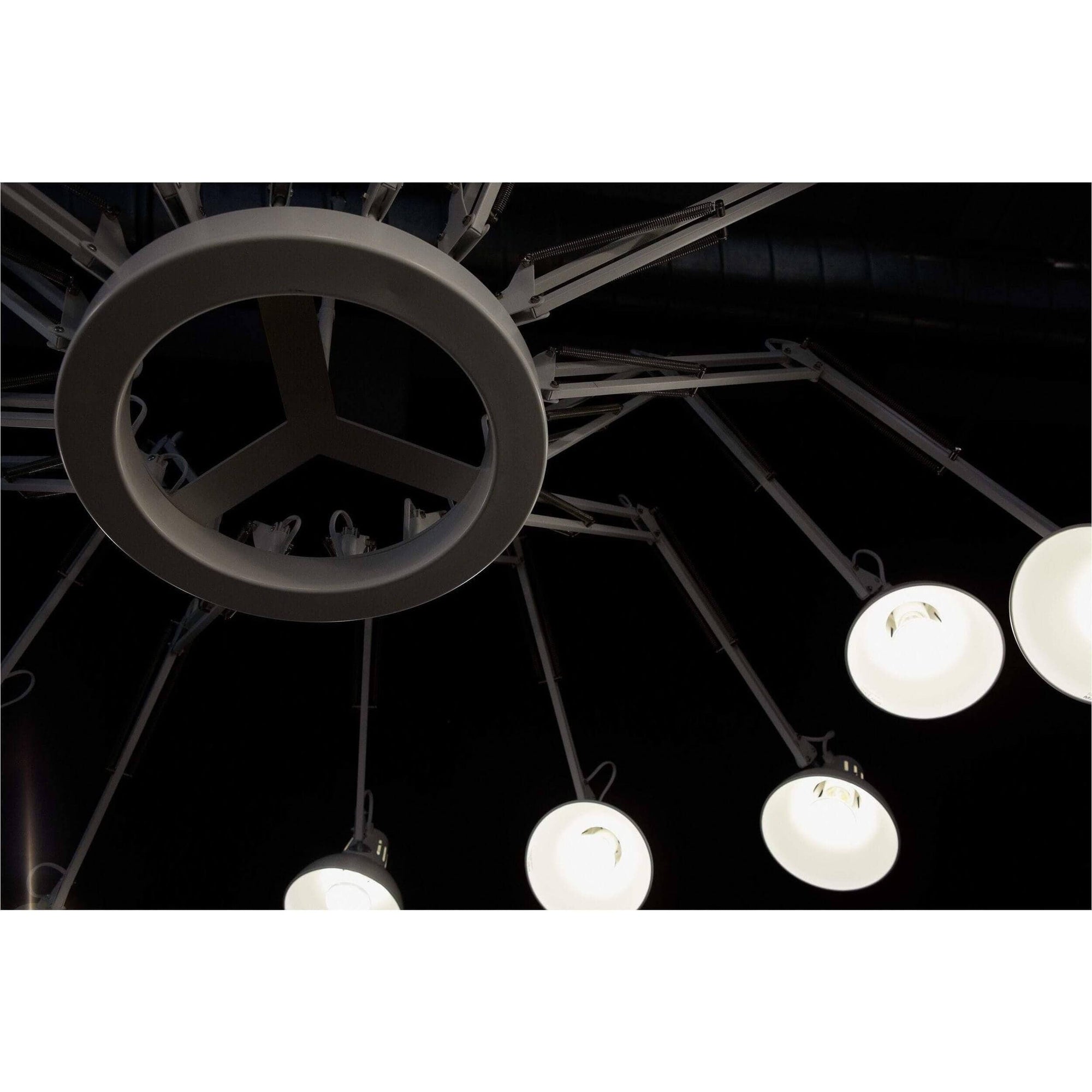 Dear Ingo Suspended Light - Curated - Lighting - Moooi