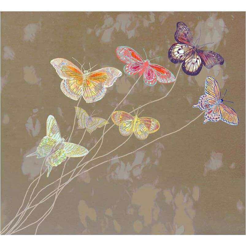 Envol - Curated - Wallpaper - Wall &amp; Decò