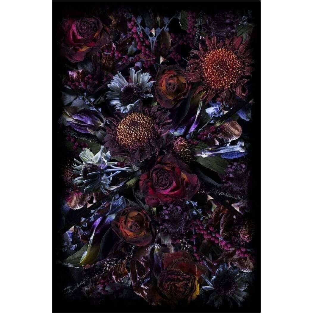 Fool&#39;s Paradise Rectangle - Curated - Carpet - Moooi Carpets