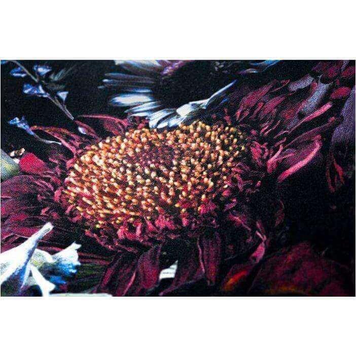 Fool&#39;s Paradise - Curated - Carpet - Moooi Carpets