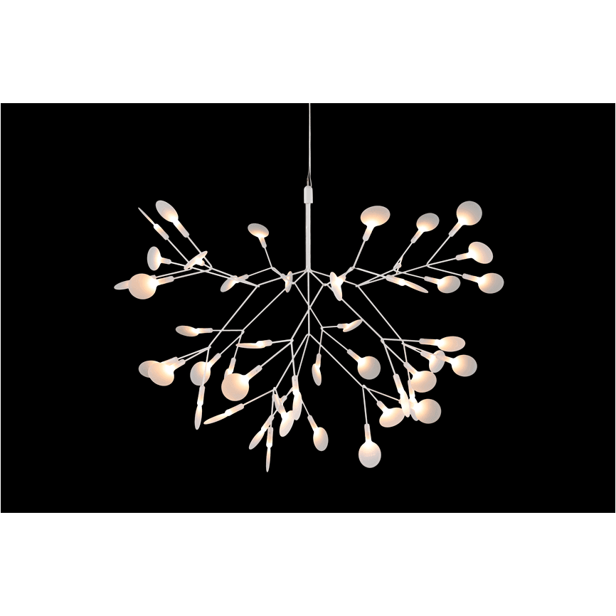 Heracleum III Suspended Light - Curated - Lighting - Moooi
