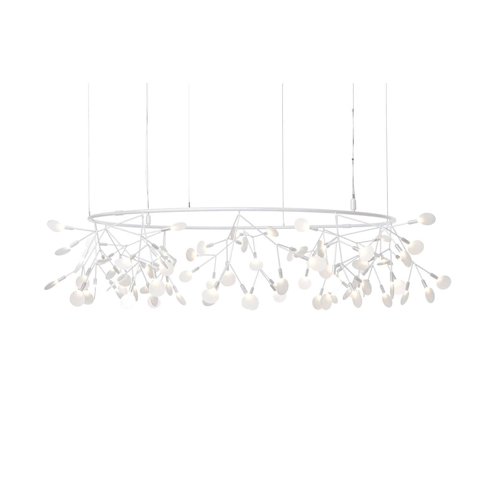 Heracleum III The Big O Suspension Light - Curated - Lighting - Moooi