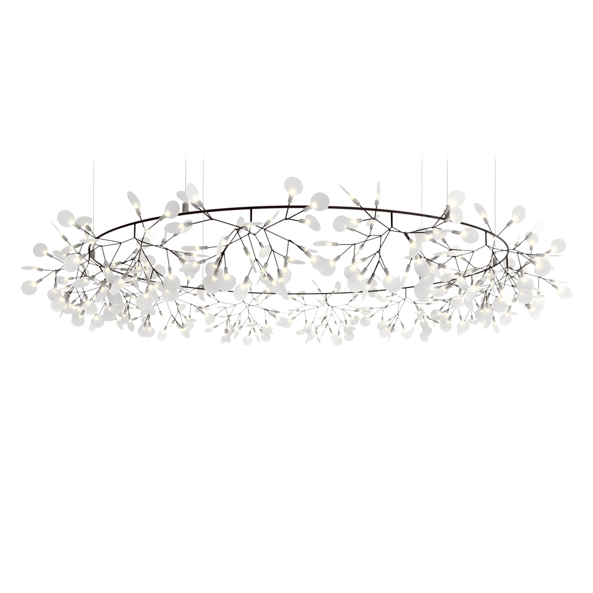Heracleum III The Big O Suspension Light - Curated - Lighting - Moooi
