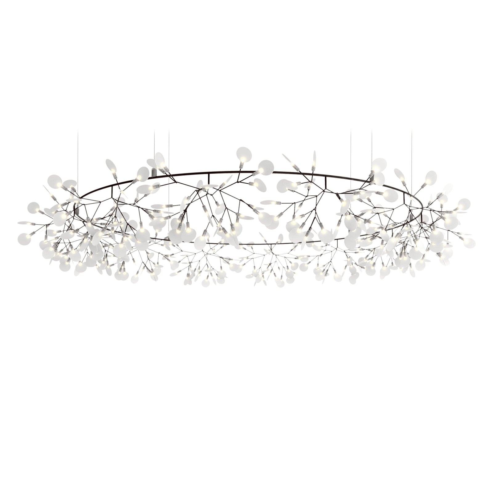 Heracleum III The Big O Suspension Light - Curated - Lighting - Moooi