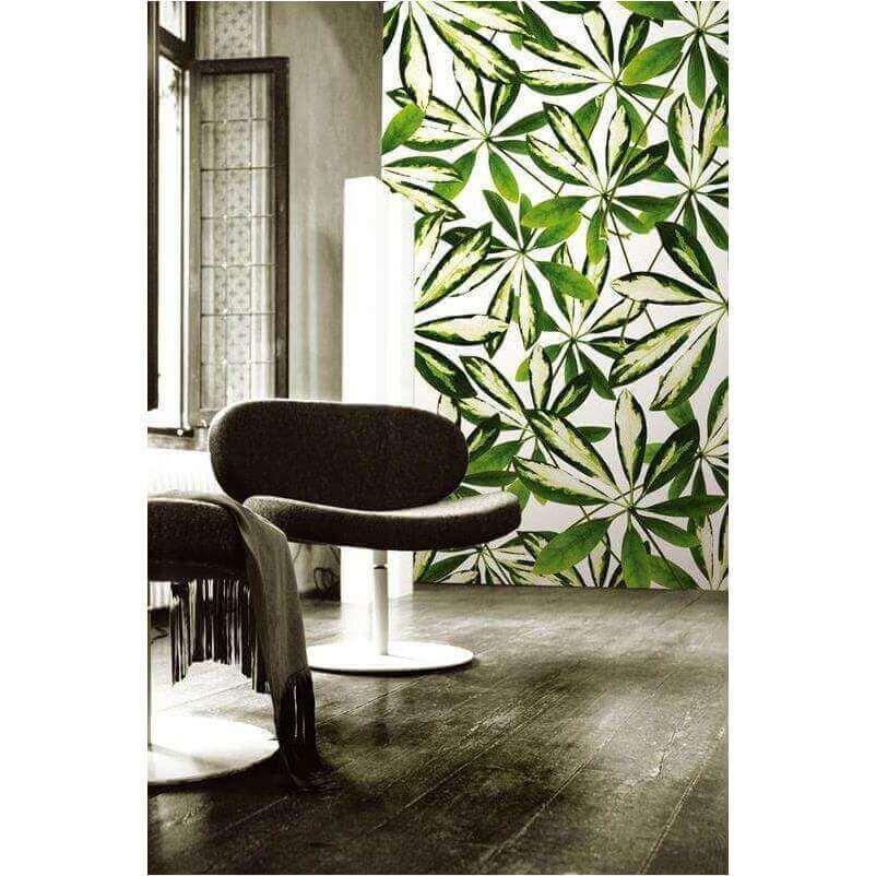 Jungle - Curated - Wallpaper - Wall & Decò