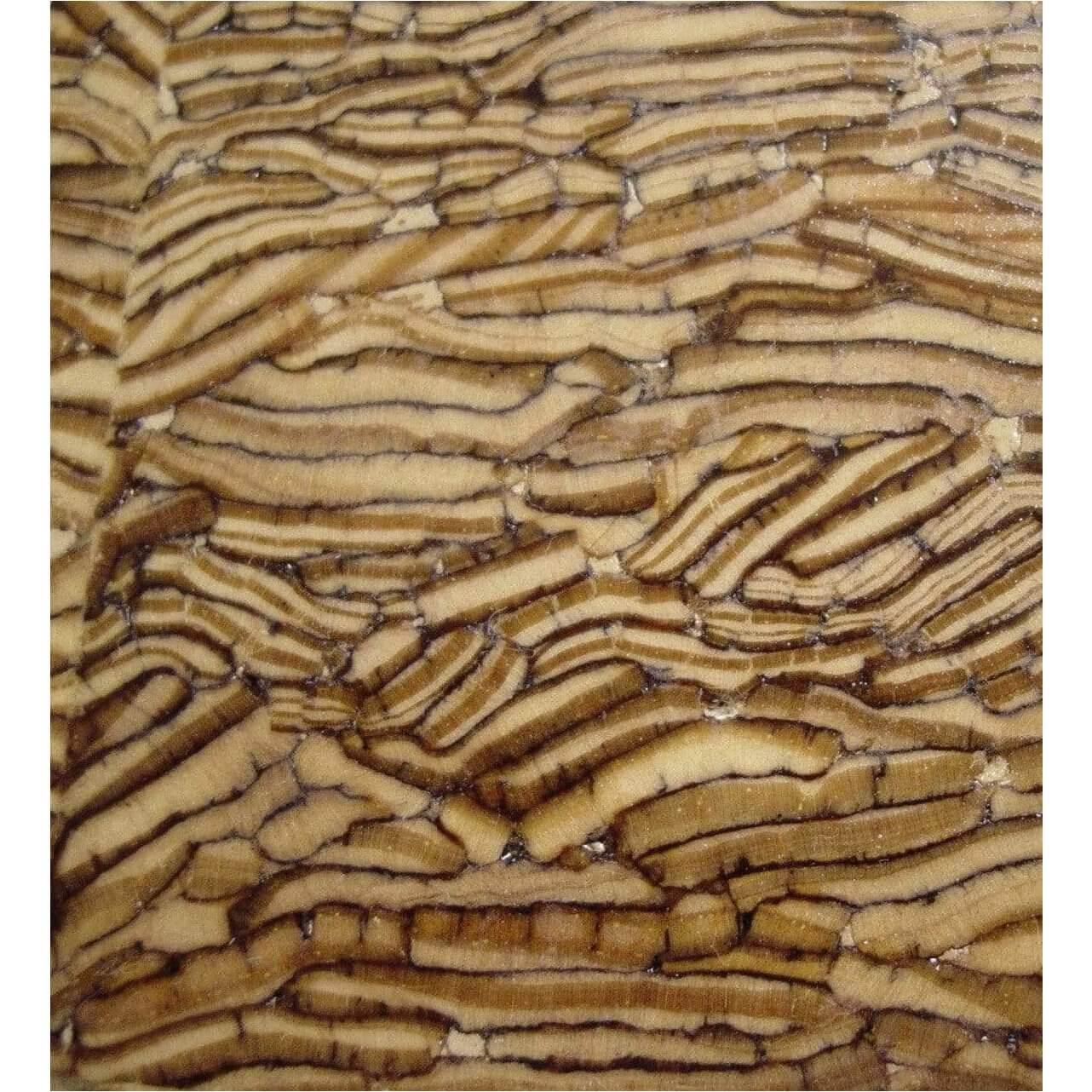 LARVA table - Curated - Furniture - Reaching Quiet