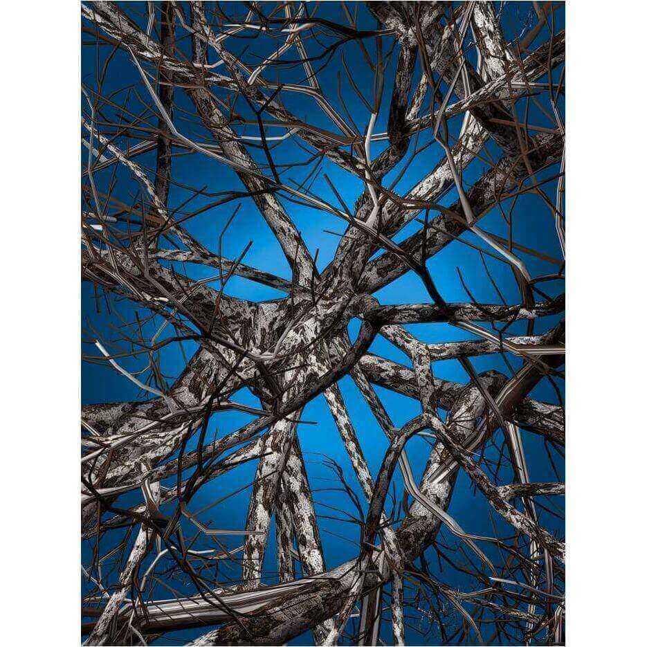 Liquid Birch - Curated - Carpet - Moooi Carpets