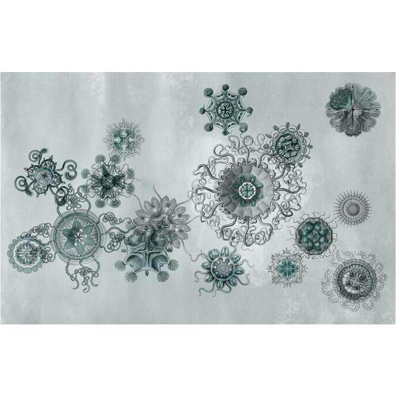 Medusae - Curated - Wallpaper - Wall &amp; Decò