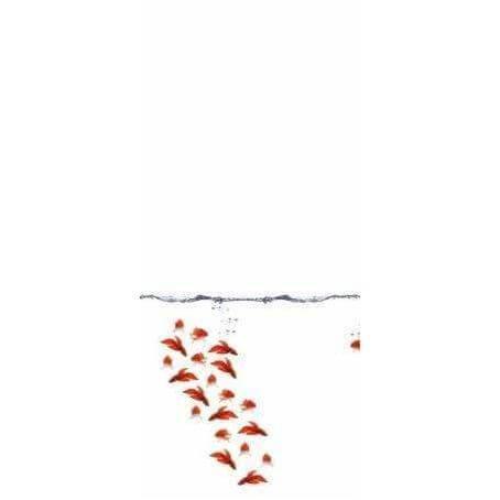 Microcosmos - Curated - Wallpaper - Wall &amp; Decò