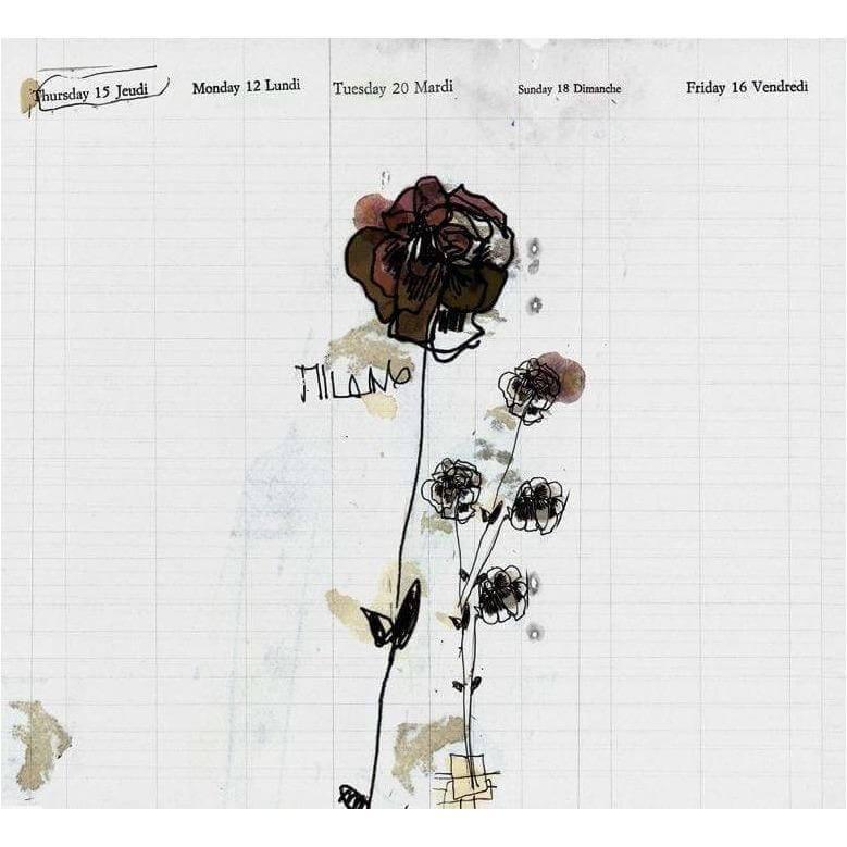 Milano - Curated - Wallpaper - Wall &amp; Decò