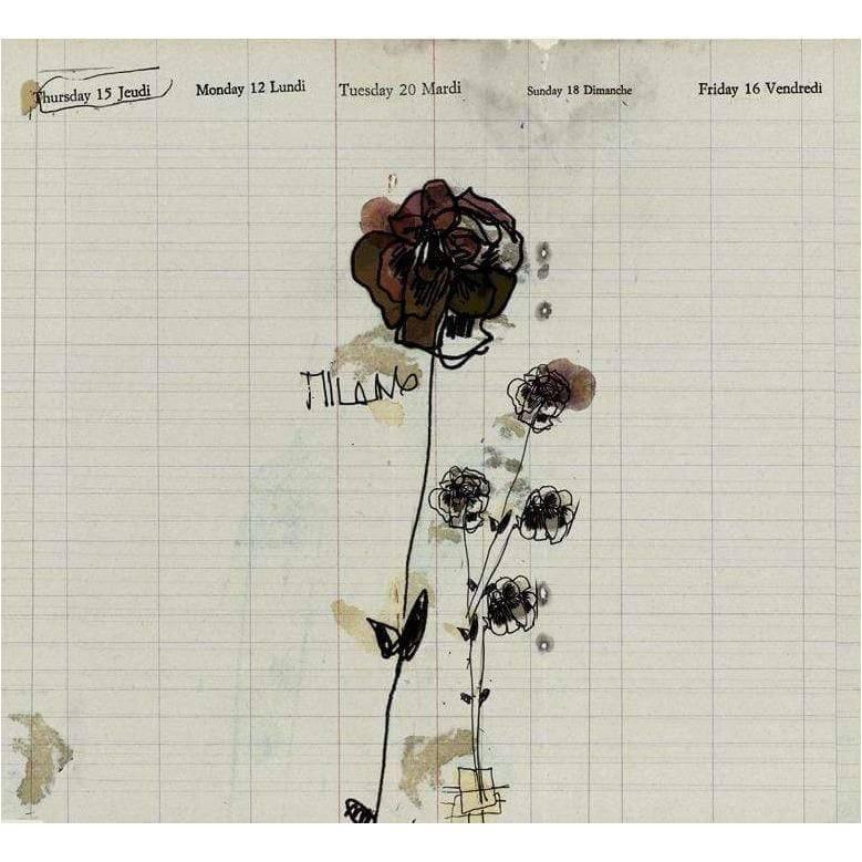 Milano - Curated - Wallpaper - Wall &amp; Decò