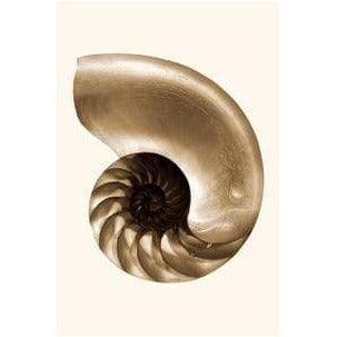 Nautilus - Curated - Wallpaper - Wall &amp; Decò