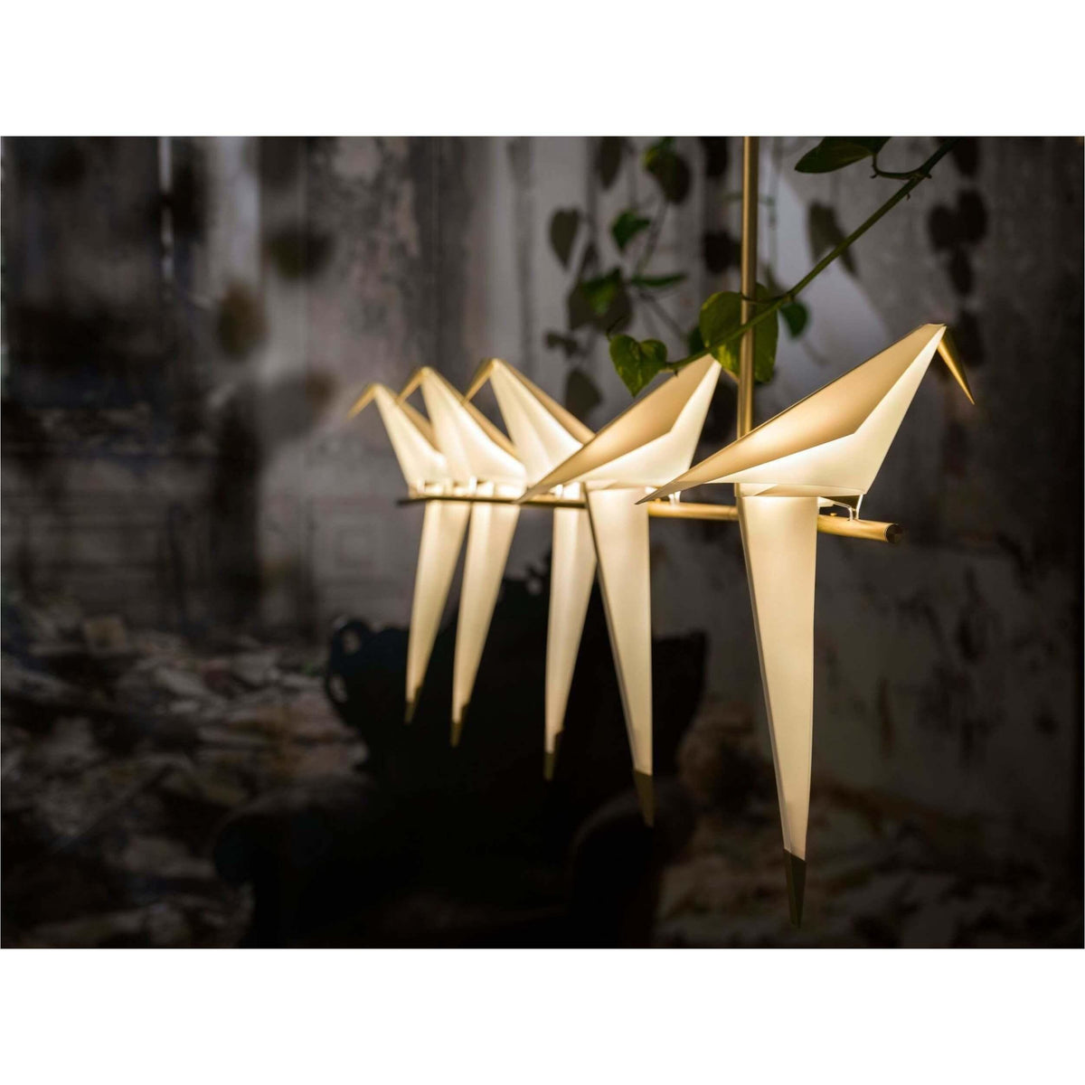 Perch Light Branch Suspension Light - Curated - Lighting - Moooi