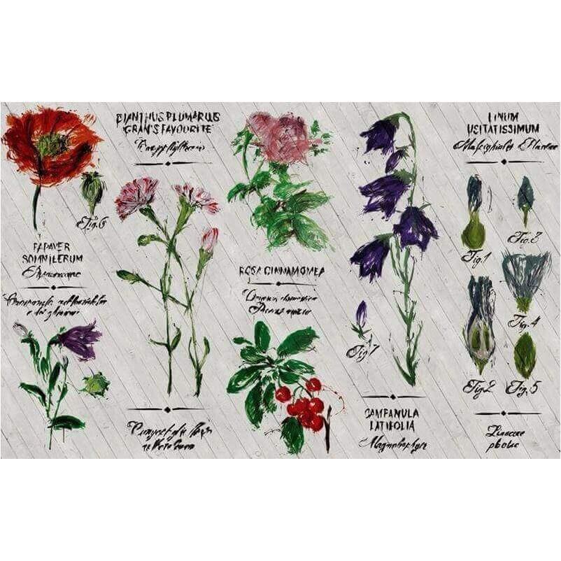 Pianthus - Curated - Wallpaper - Wall &amp; Decò