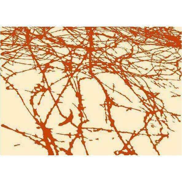 Reef - Curated - Wallpaper - Wall &amp; Decò