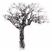 Undressed Avenue - Curated - Wallpaper - Wall & Decò