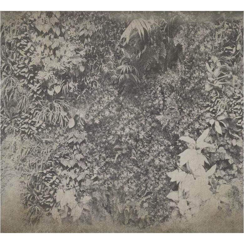 Vertical Green - Curated - Wallpaper - Wall &amp; Decò