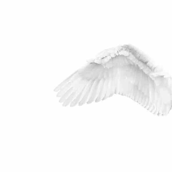 White Angel - Curated - Wallpaper - Wall & Decò