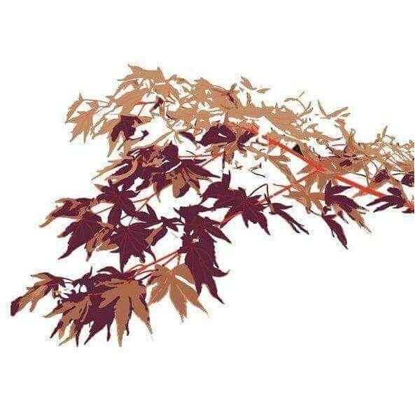 Winter Camou - Curated - Wallpaper - Wall &amp; Decò